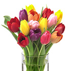 FTD Bright Lights Tulips