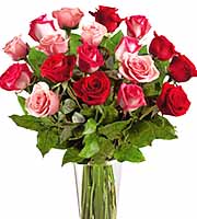 FTD True Romance 18 Roses