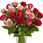 FTD True Romance 18 Roses