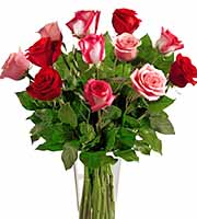 FTD® True Romance Dozen Roses Vase