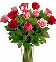 FTD True Romance Dozen Roses Vase