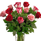 FTD True Romance Dozen Roses Vase