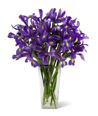 - FTD® Iris Riches Bouquet