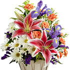 FTD Wondrous Nature Bouquet