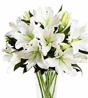 FTD Light In Your Honor Lilies Bouquet