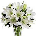 FTD Light In Your Honor Lilies Bouquet