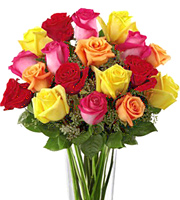 FTD Bright Spark 18 Roses Bouquet