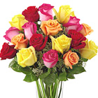 FTD® Bright Spark 18 Roses Bouquet