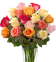 18 Mixed Roses