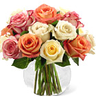 FTD Sundance Rose Bouquet