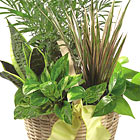 FTD® French Garden Planter