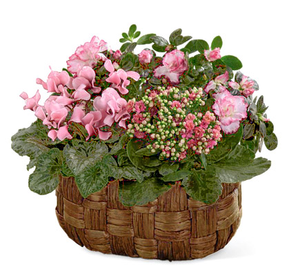 FTD Pink Assortment Basket