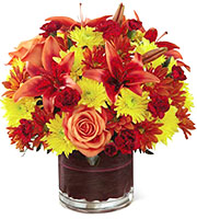 FTD Natural Elegance Bouquet