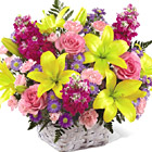 FTD® Bright Lights Basket Premium