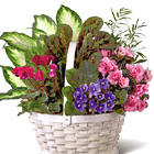 fTD Peaceful Garden Planter