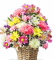 New Basket of Cheer