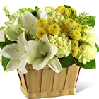 FTD® Uplifting Moments Basket Deluxe
