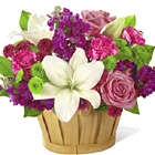 FTD Fresh Focus Bouquet Deluxe