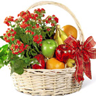 FTDŽ Garden's Paradise Basket