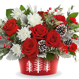 Teleflora Snowy Pines Centerpiece Deluxe