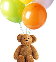 Teddy Bear and Balloon Bouquet