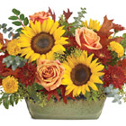 Teleflora® Sunflower Farm Centerpiece