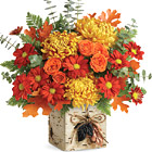 Teleflora® Wild Autumn Bouquet