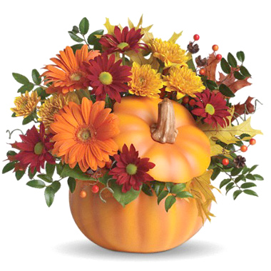 Teleflora Country Pumpkin Bouquet