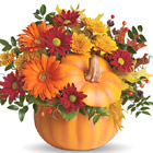 TelefloraŽ Country Pumpkin Bouquet