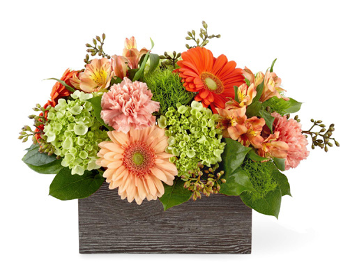 FTD Hello Gorgeous Bouquet Dlx