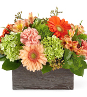 FTD Hello Gorgeous Bouquet Dlx