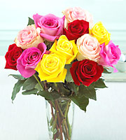 FTD Mixed Colors Roses Bouquet