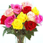 FTD Mixed Colors Roses Bouquet