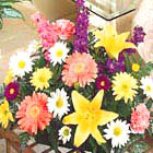 International - Colorful Fresh Arrangement