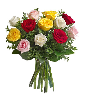 International - Mixed Color Roses
