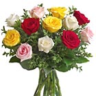 International - Mixed Color Roses