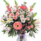 International - Fancy Pink and White Bouquet