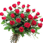 International - Abundance of Red Roses