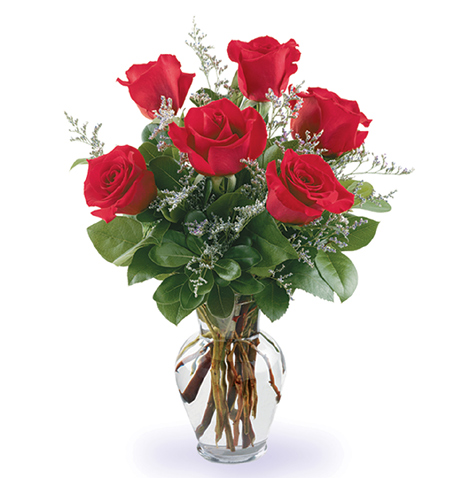 Fancy Half Dozen Roses Vase