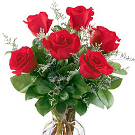 Fancy Half Dozen Roses Vase