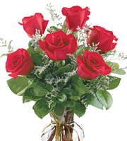 Fancy Half Dozen Roses Vase