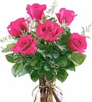 Fancy Half Dozen Pink Roses