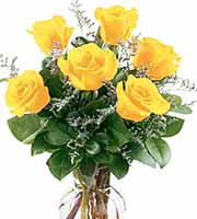 Fancy Half Dozen Yellow Roses