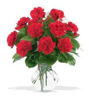 Dozen Red Carnations Vase