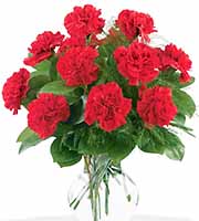 Dozen Red Carnations Vase