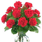 Dozen Red Carnations Vase
