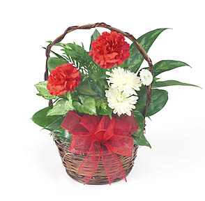 Valentine Planter Basket