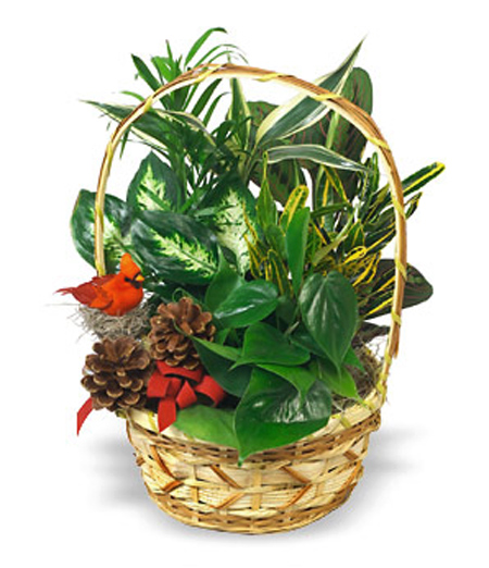 Holiday Planter Basket