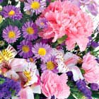 Pastel Flowers Bouquet Special