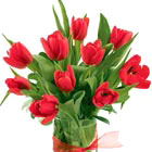 Simply Tulips